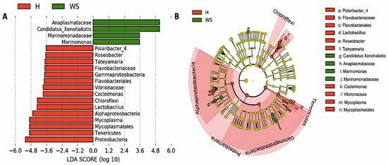 Fig 2. Diversity and abundance of ARGs in soils from three distinct ecosystems. (Qian et al., 2021)